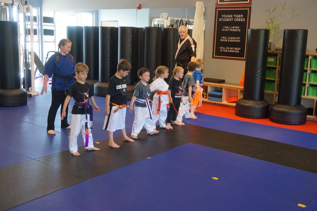 Childrens karate